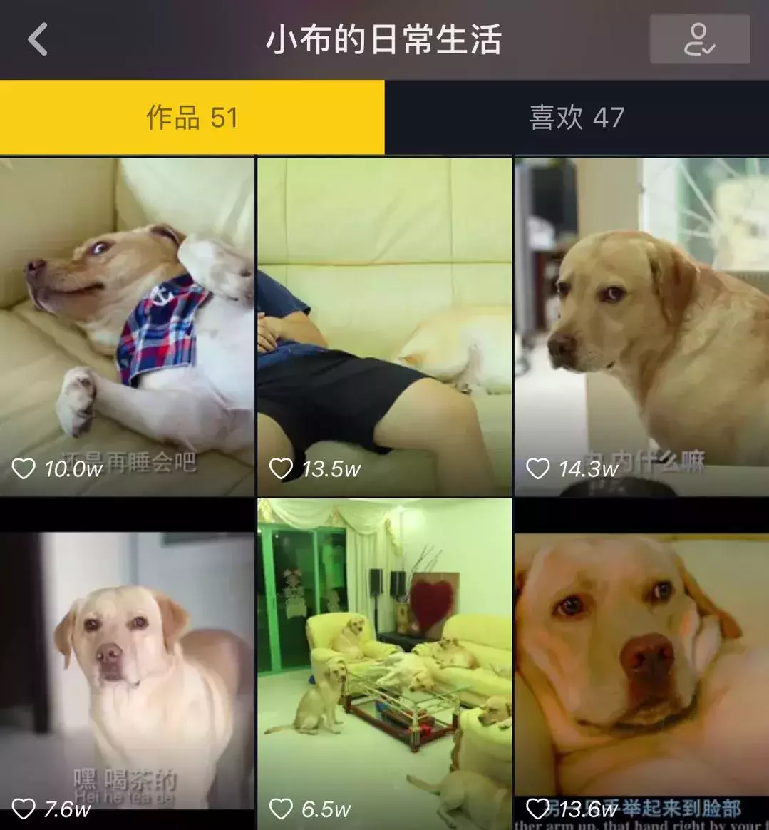 如何在抖音上快速涨粉?抖音大号们是这么做的 | 我爱问榜妹