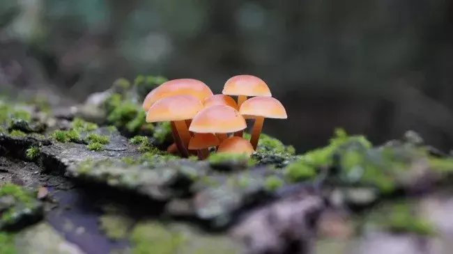 写到心窝里的人生感悟经典句子，句句走心