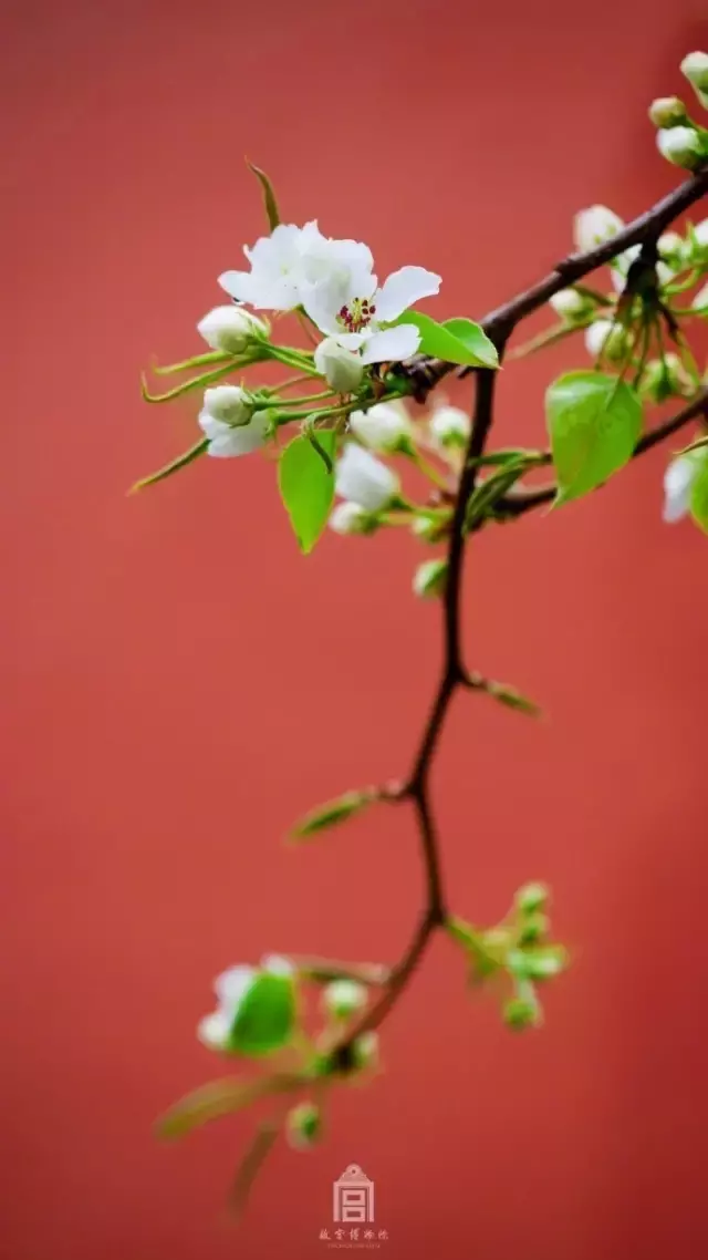 十首春日诗，万紫千红总是春-第8张图片-诗句网