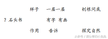 小学语文国家级优质课：《石头书》苏教版三年级上册教案视频课件