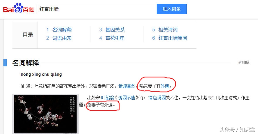 “红杏出墙”一词本为褒义，却一直被误解