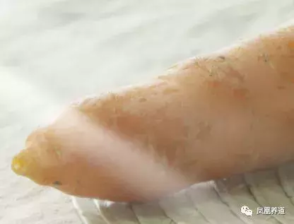 春季养生宝典!10种在家就能做的食疗菜谱 食疗养生 第11张 春季养生宝典!10种在家就能做的食疗菜谱 食疗养生 第11张