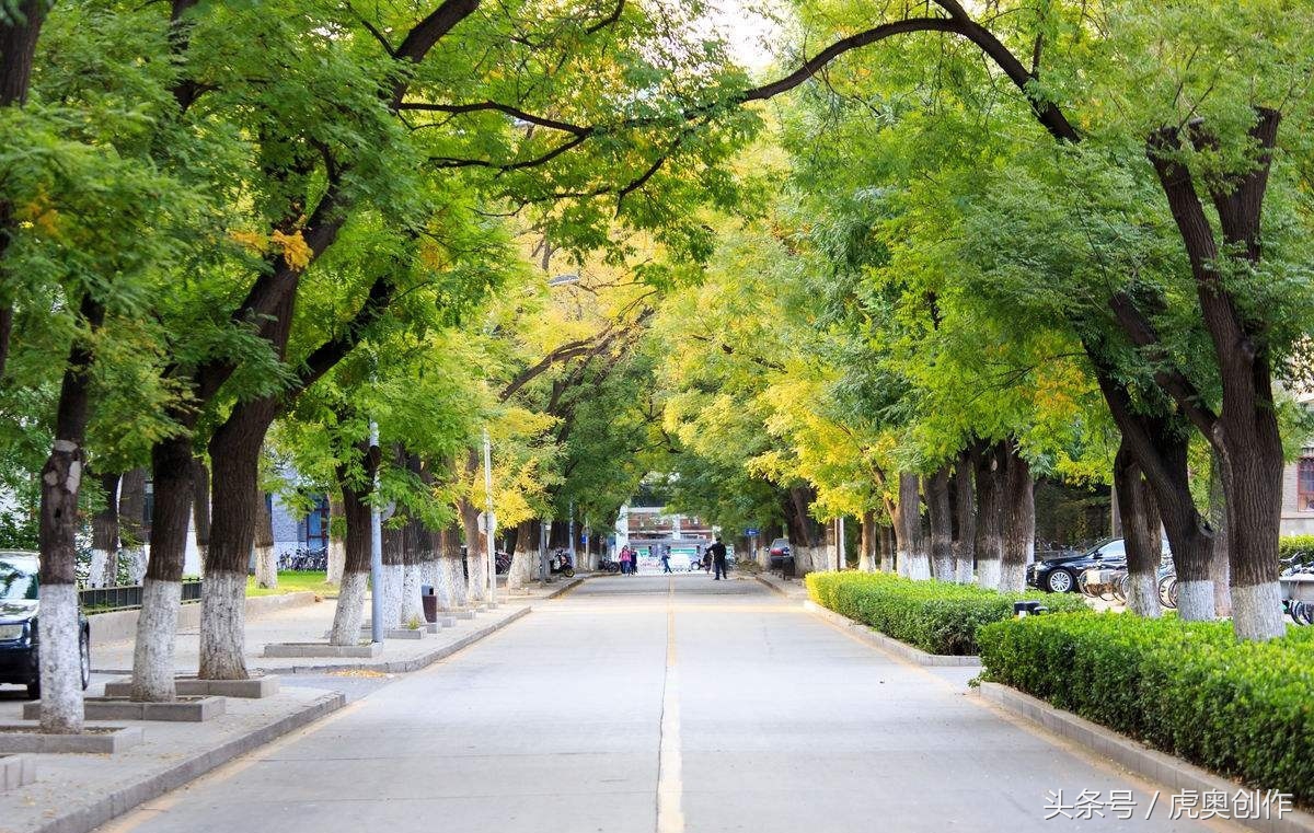大学生在大学的现状：和你想象的环境不一样？