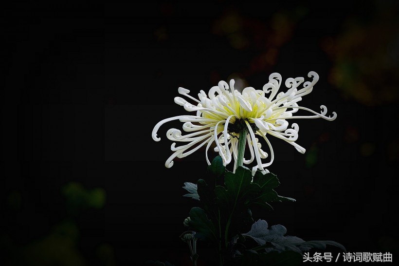 爱国情怀绝妙诗词十首，这才是铁骨铮铮的英雄气概-第1张图片-非凡网