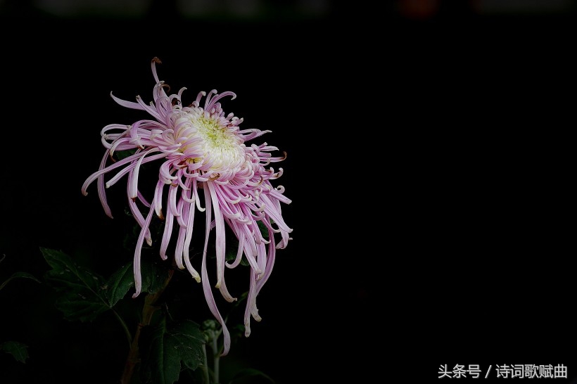 爱国情怀绝妙诗词十首，这才是铁骨铮铮的英雄气概-第4张图片-非凡网