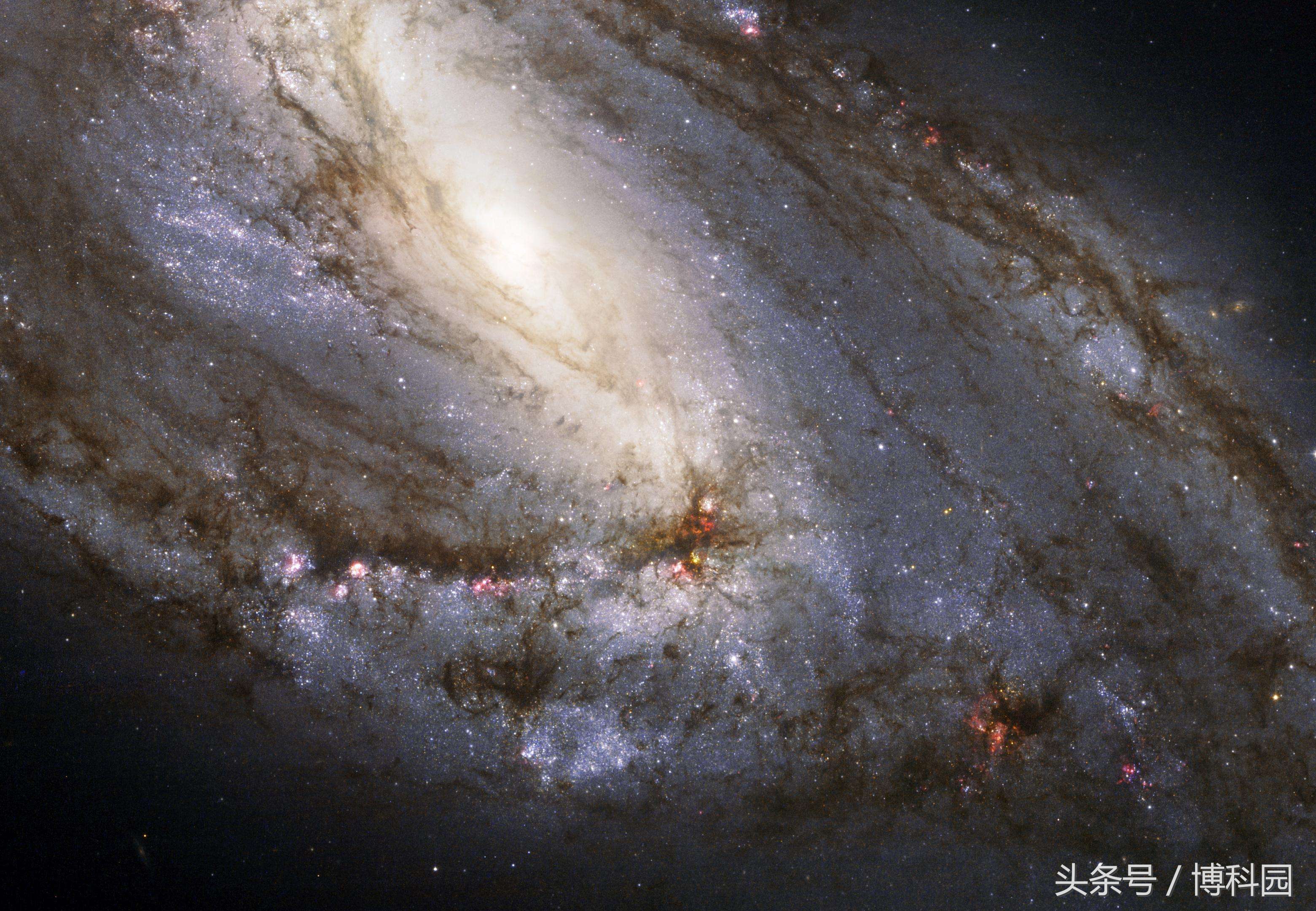 天文学家最新寻找：具有活跃核的星系