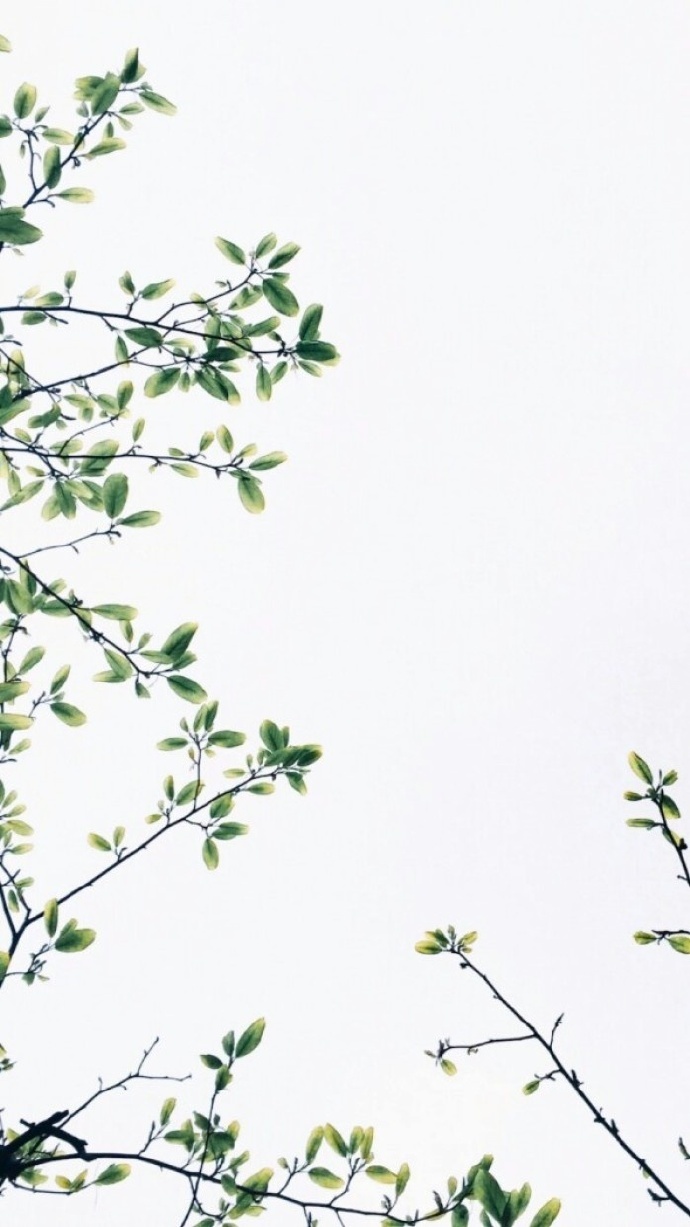 8首唐宋诗词缘定三生，美到哭泣！