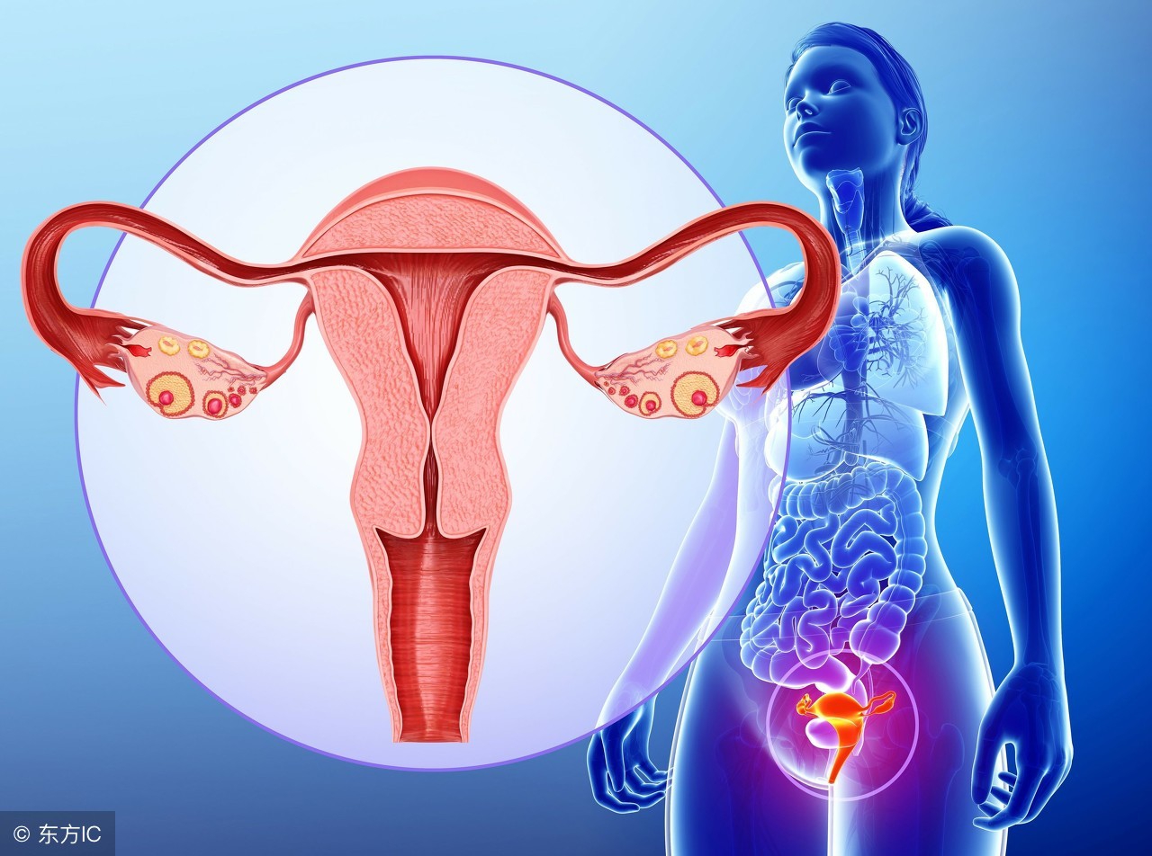 卵巢早衰患者能怀孕吗？概率较低，赠卵体外受精或可一试