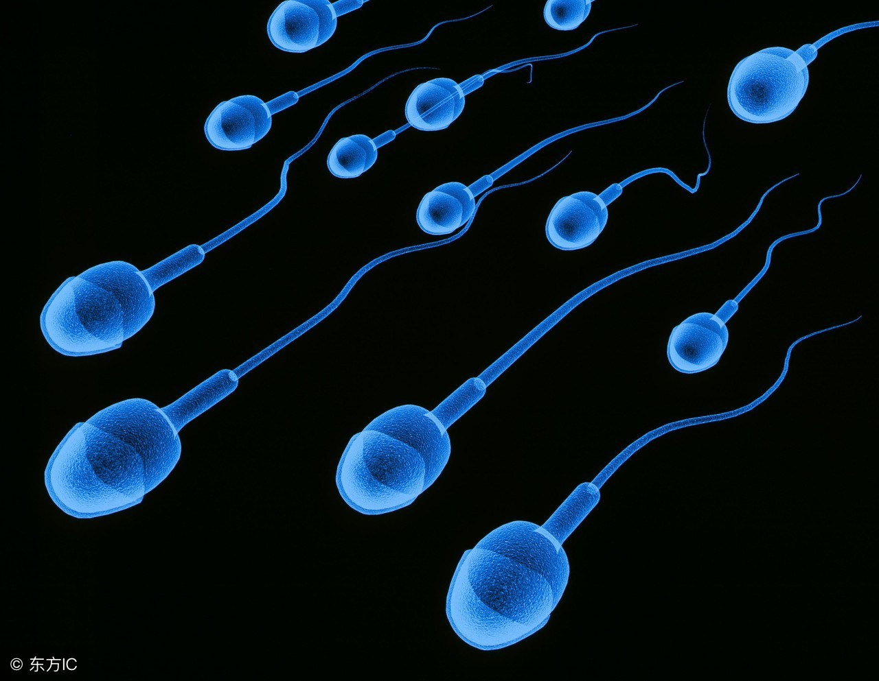 判断女性卵巢有没有排卵，方法有很多，B超检测更牢靠