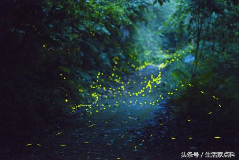 不懂浪漫？这份免费的浪漫软装法，拿去