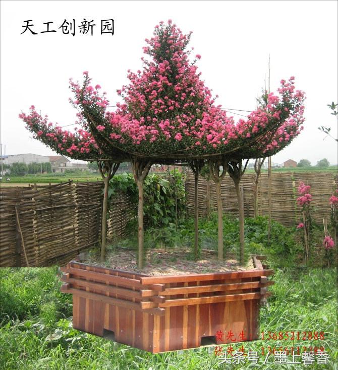 最生动的园林艺术（太漂亮了，快分享给朋友吧！）