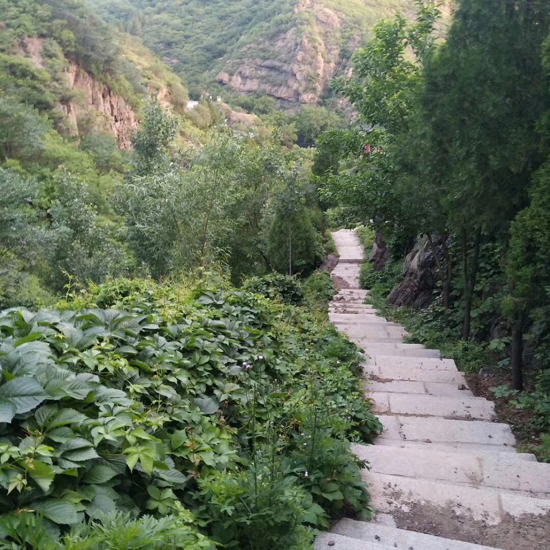 旅游景点,今日免票啦!(附雨后鹤伴山秀美图)