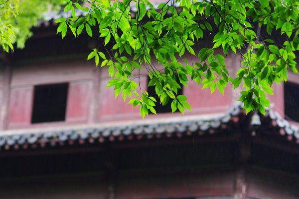 去杭州旅行看这一份攻略就够了！最经典最实用的线路任你挑选！
