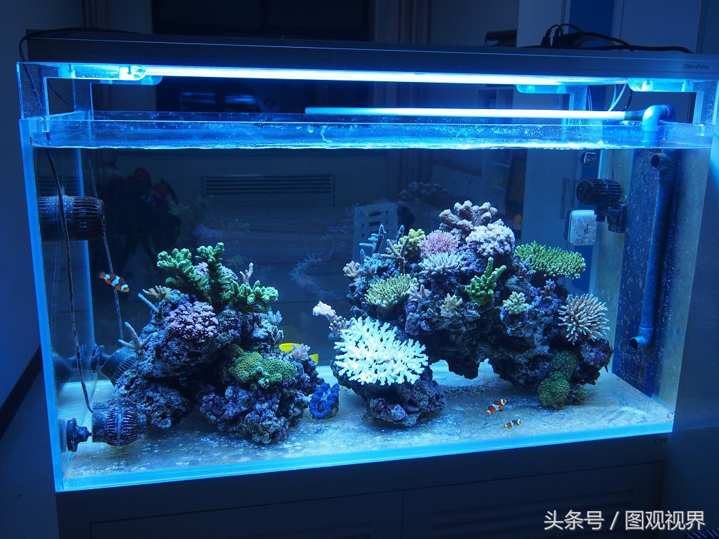 中国十大镇宅摆件一览，一命二运三风水