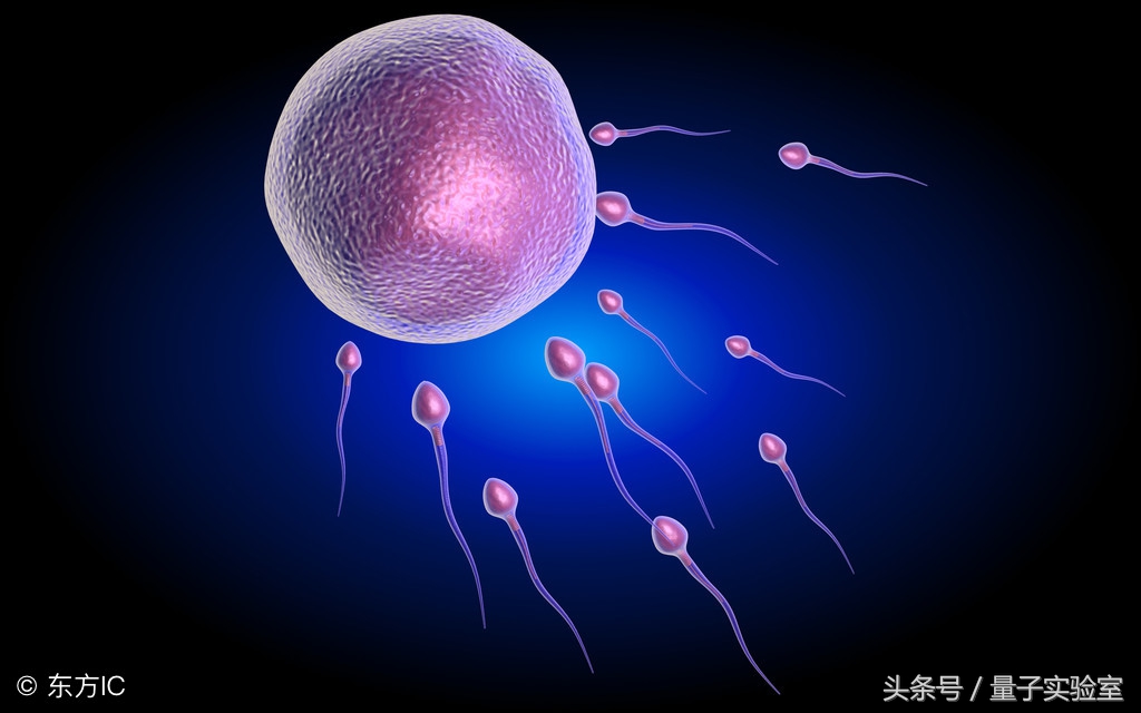 不用顯微鏡，靠人類的肉眼，能直接觀察到原子和原子核嗎？