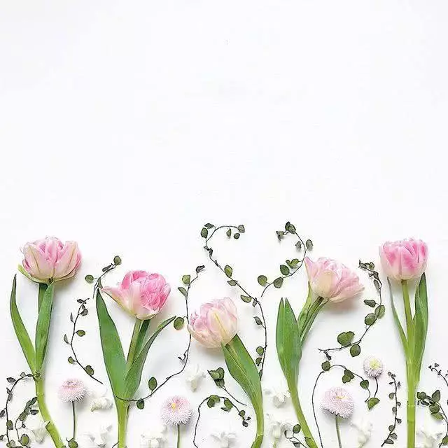 意味深长的优美句子 简短高深哲理句子图片