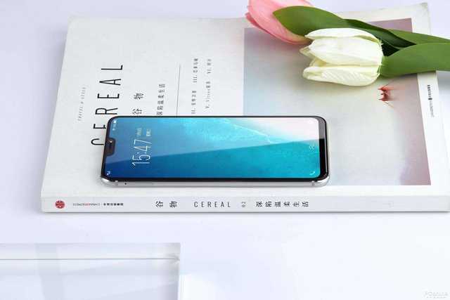 两面夹层玻璃授予外壳对称性艺术美，vivo X21i美图照片鉴赏