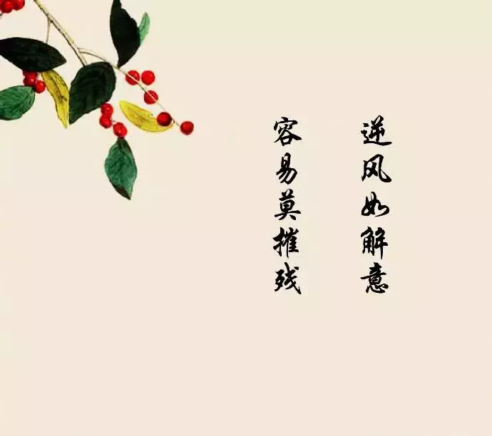 一尘不染的古风仙句 淡雅唯美古风意境句子 图片