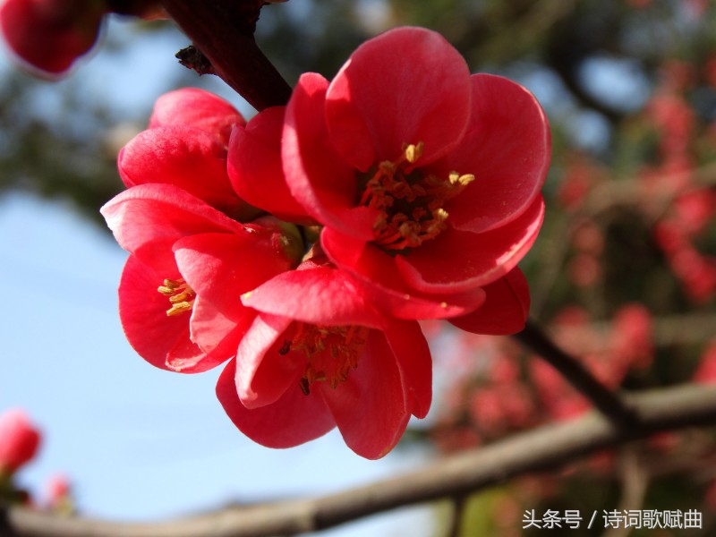 让强者能与更强者比肩的卓绝力量-第2张图片-非凡网
