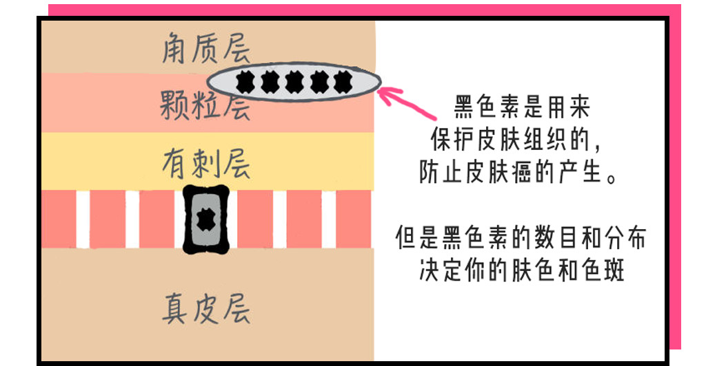 肌肤美白终极指南，想要白成反光板-第14张图片-农百科