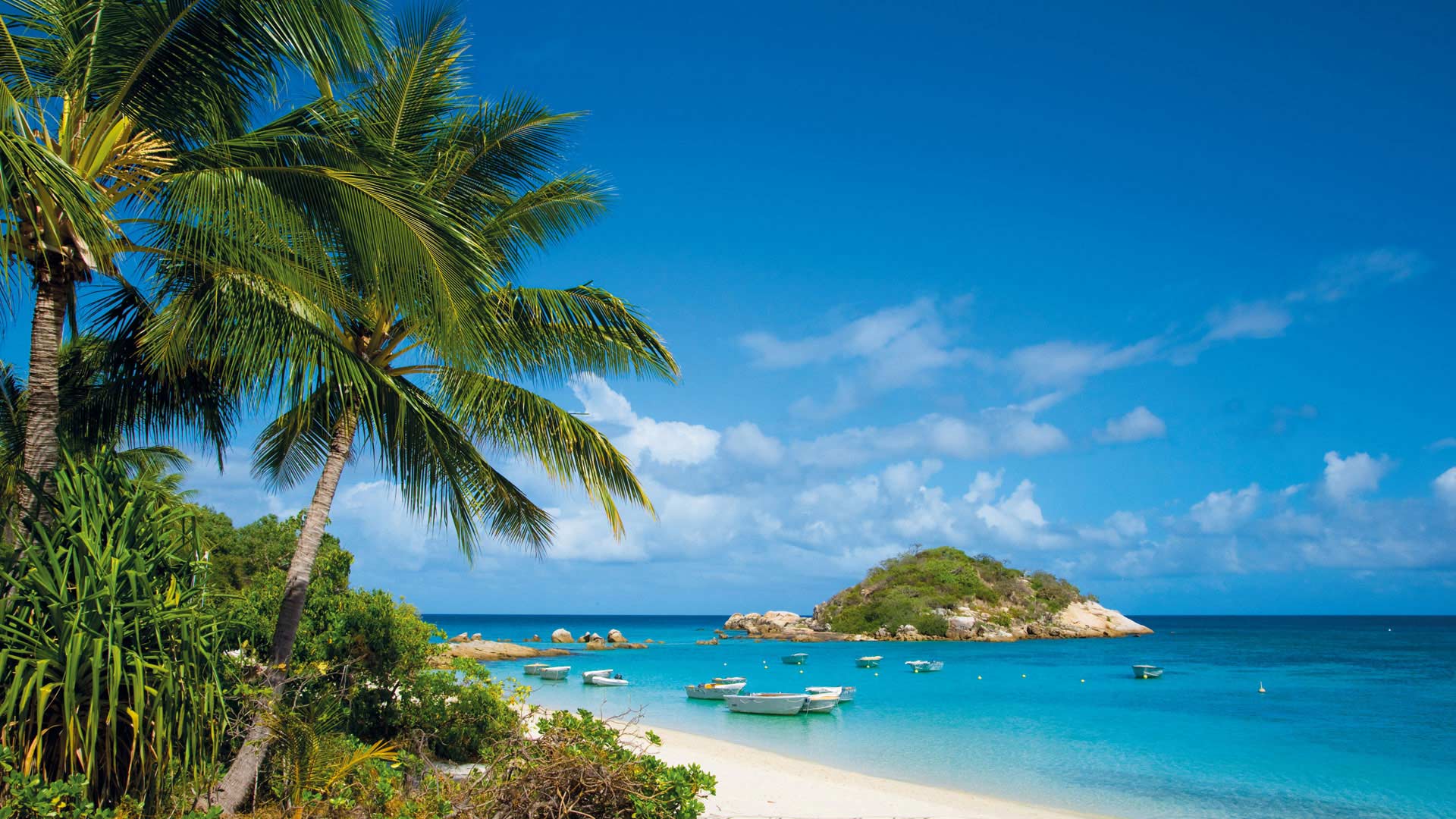 云南和海南哪个省更适合养老?网友:海南治安好，云南风景好