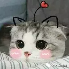 跟王菊学做美黑?还是要白到发光!