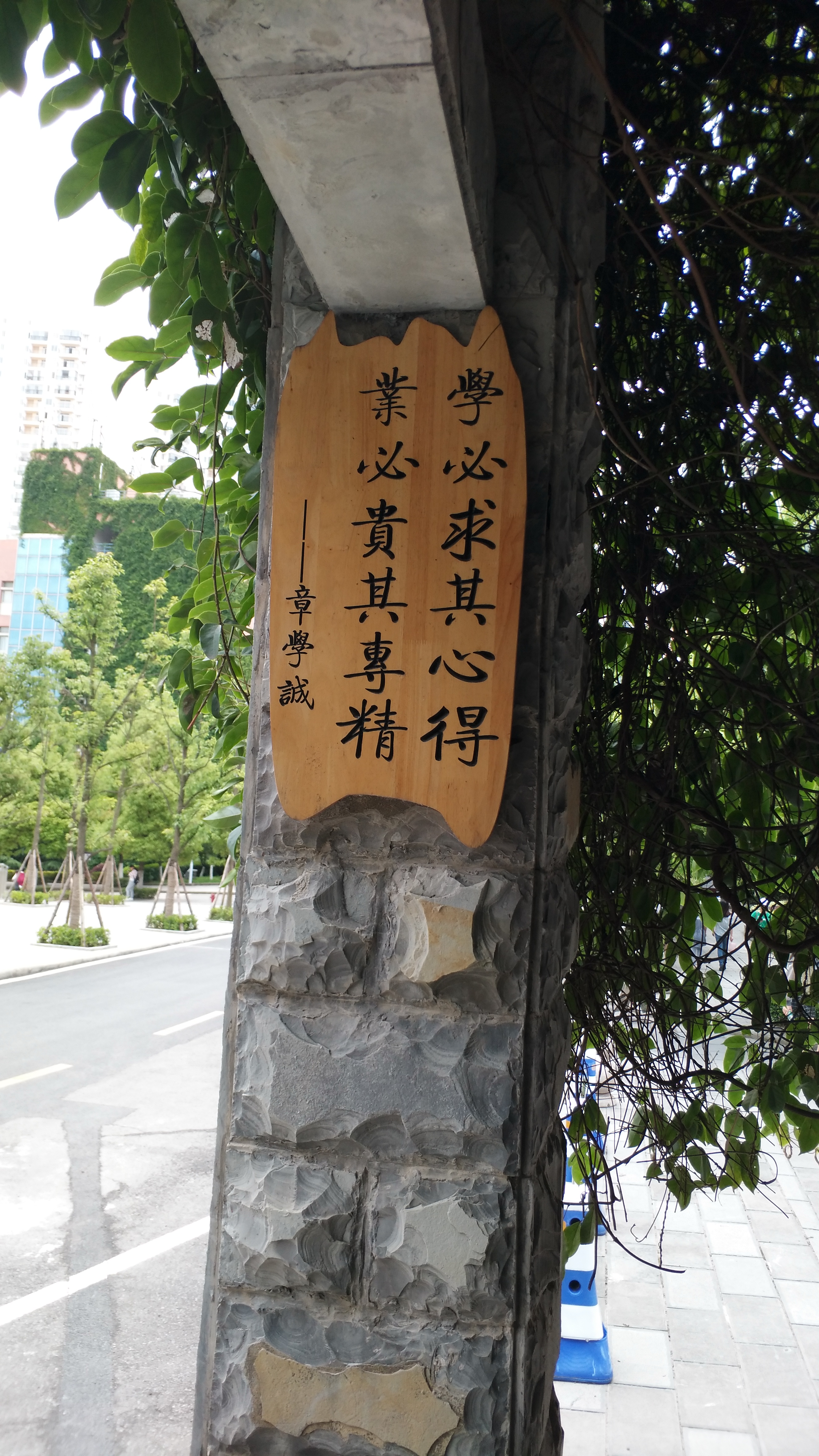 醉美校园走廊,名家名言挂墙,时时教育激励学子,你可记得?