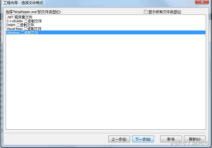 一款专门汉化软件的工具，原来汉化软件的工作并不神秘丨带测试