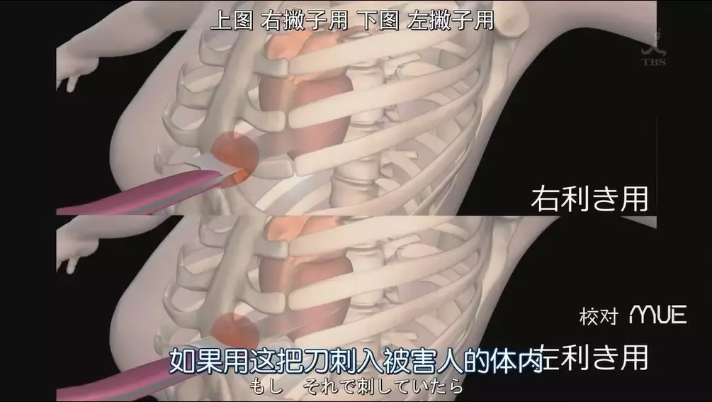 让我笑到肚痛的国产推理剧又来了
