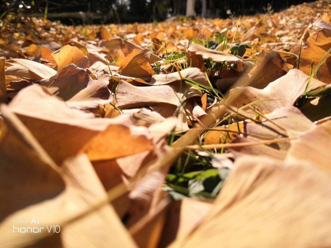 荣耀V10这8个隐藏贴心功能，你不能不知道！