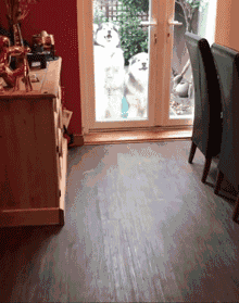 Some dogs, going with respect to to turn over...