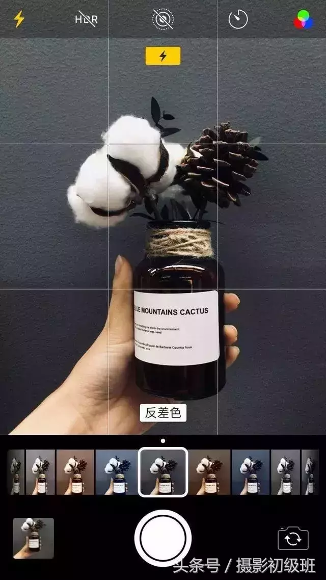 10个手机摄影技巧,教你用手机拍出大片-第15张图片-农百科 10个手机摄影技巧,教你用手机拍出大片-第15张图片-农百科