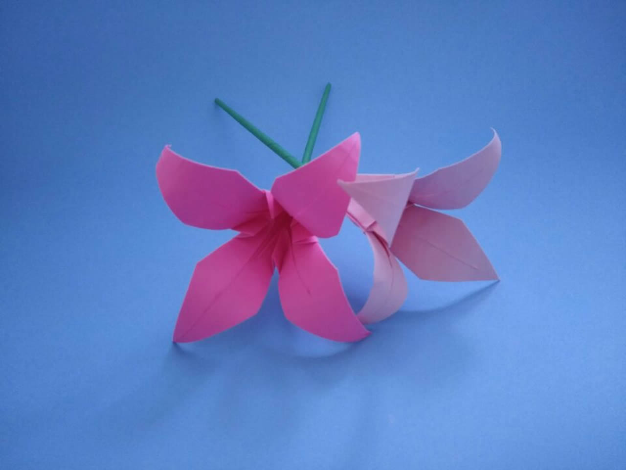 教你用纸折漂亮的花朵,制作起来非常简单,手残党也一学就会