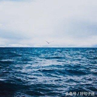 适合发说说的好句子 句句简短精辟图片