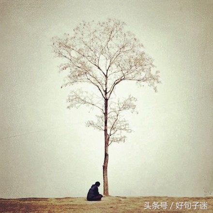 心情平静的优雅句子 平静淡如水的个性签名图片
