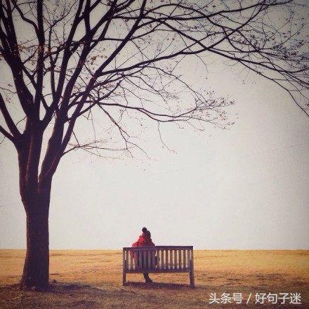 让自己静心的说说短语 静下心远离浮躁的句子图片