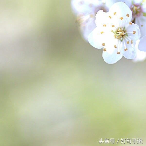 珍惜同学情谊的句子唯美 表达老同学相聚的句子图片