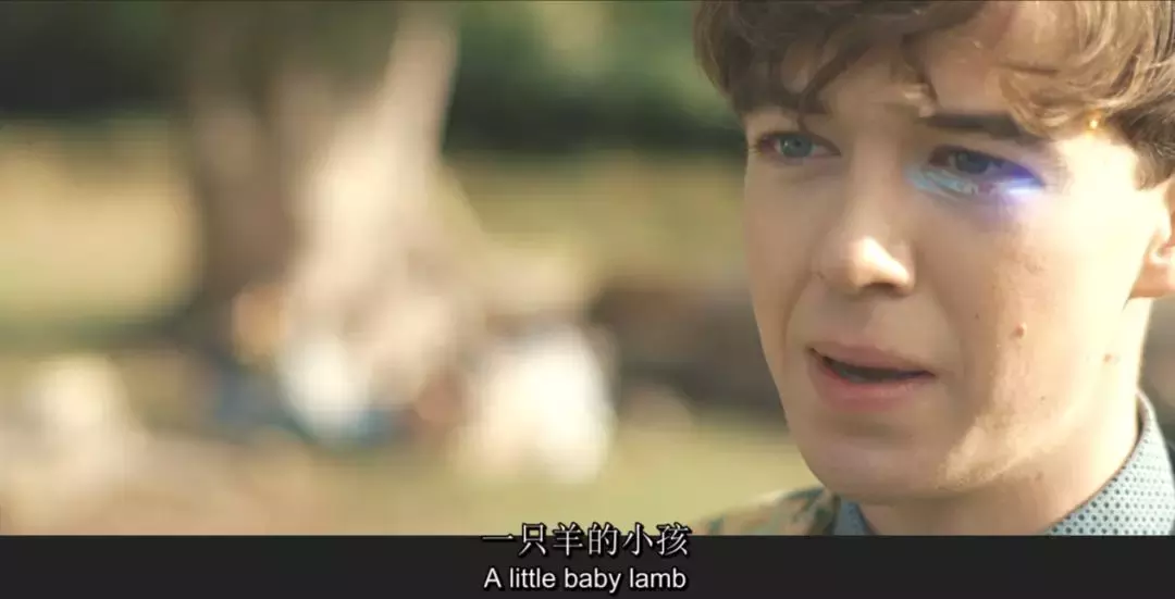 它先是科幻片,接着是喜剧片和恐怖片,最后是纪录片