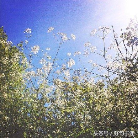最近快手很火的经典句子，越读越给力 快手经典语录霸气十足图片