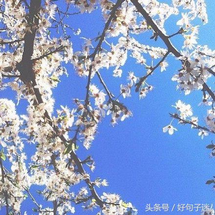 最近快手很火的经典句子，越读越给力 快手经典语录霸气十足图片