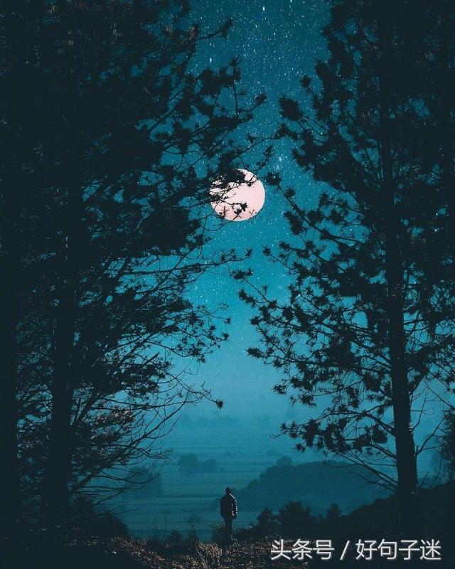 自我夸奖的句子 赞美自己的经典句子图片