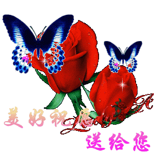夏至节气祝福语、祝福短信,夏至的问候图片