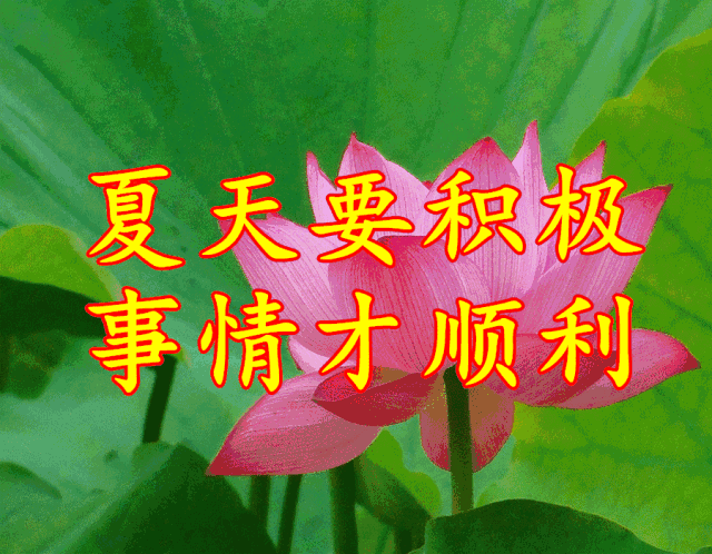 夏至节气祝福语、祝福短信,夏至的问候图片