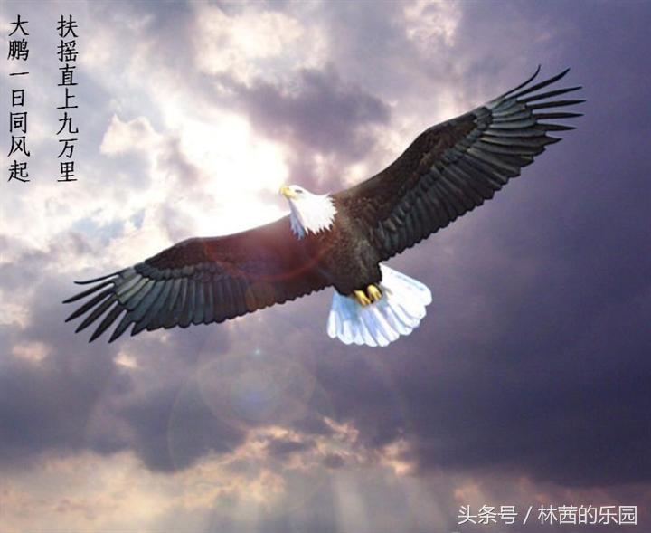 霸气十足、傲骨铮铮的12句诗词，充满正能量，你最喜欢哪一句？-第5张图片-非凡网