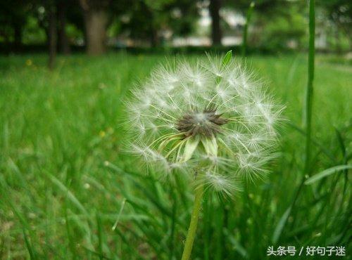 工作不顺心烦躁时爱看的句子 每一句都精辟到爆炸图片