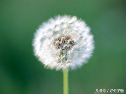 工作不顺心烦躁时爱看的句子 每一句都精辟到爆炸图片