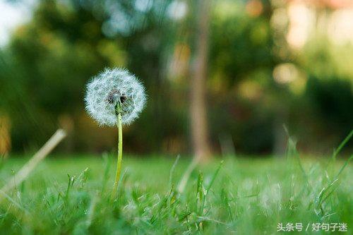 工作不顺心烦躁时爱看的句子 每一句都精辟到爆炸图片