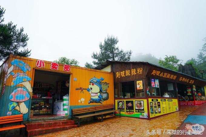 打卡重庆两个网红景点：一个差点治愈恐高症，一个夜色美的不像话