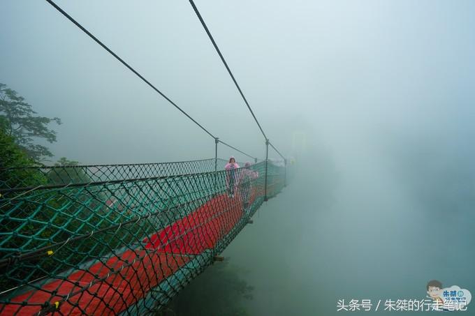 打卡重庆两个网红景点：一个差点治愈恐高症，一个夜色美的不像话