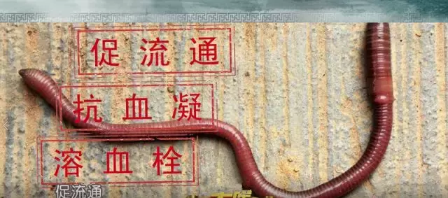 腿脚发凉、发麻?严重者可截肢!提醒身边人警惕这种疾病!